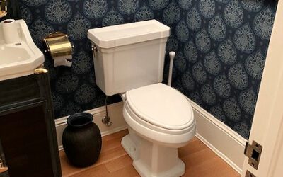 To Flush, Or Not To Flush