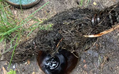Why Chicago Sewers Need Maintenance Rodding
